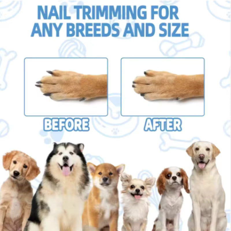 PET-CENTRIC DESIGN, ZERO GUESSWORK